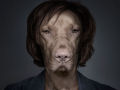 Retratos engraçados de cães vestidos como seres humanos