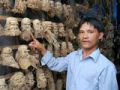 Artista vietnamita esculpe incríveis estatuetas em raízes de bambu