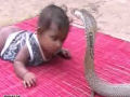 Impressionante! Crianças brincando com cobras