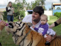 Família vive com tigres de estimação em Maringá, no Paraná