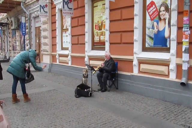 Cão ajuda músico de rua na Ucrânia