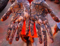 Tatuagens de henna: requintados desenhos impermanentes
