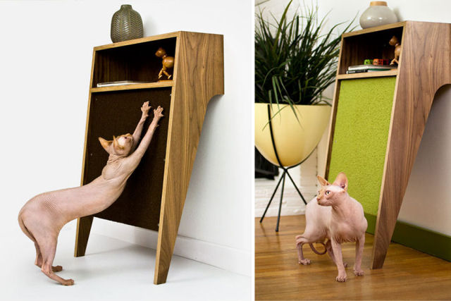 21 idéias de móveis para os amantes de animais de estimação