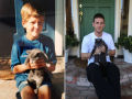 O antes e depois de adoráveis animais de estimação