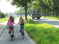 Por que os holandeses gostam tanto de bicicleta?