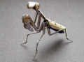 Artista cria incríveis esculturas de insetos utilizando peças recicladas