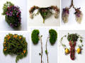Órgãos humanos feitos de flores e plantas por Camila Carlow