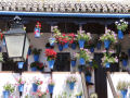 O florido festival dos Pátios de Córdoba