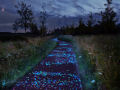Ciclovia que brilha no escuro, inspirada na obra de Van Gogh, é inaugurada na Holanda