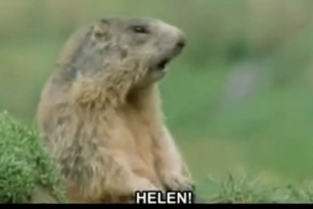 Você vai rolar de rir com este vídeo que nos ensina o que em realidade os animais pensam