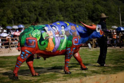 Concurso de pintura de búfalos na China