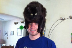 Pessoas usando gatos como chapéus estão ganhando a Internet