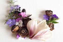 Artista cria belas colagens com flores e plantas