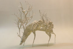 As esculturas surrealistas de Ellen Jewett mesclam plantas e vida animal