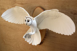 Pássaros artesanais feitos com madeira e papel por Zack Mclaughlin