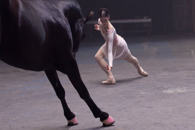 Não perca esta espetacular coreografia de bailarinas com um... cavalo!