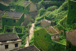 Esta aldeia de pescadores abandonada na China está sendo devorada pela natureza