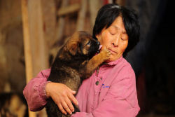 Chinesa viajou 2.400 kms e pagou quase 4 mil reais para salvar 100 cães que iam ser comidos