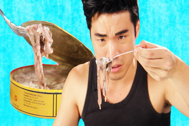 Americanos experimentam Surströmming, a iguaria mais fedida do mundo