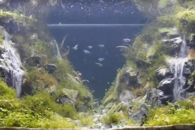 Veja que bacana este efeito para aquários: uma cascata debaixo d'água