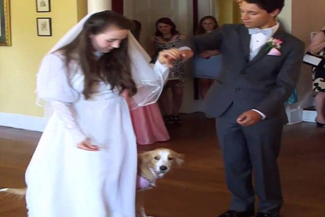 Veja como esse cão se junta à primeira dança de um casal recém-casado