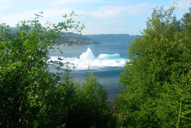 Iceberg desmorona e assusta turistas na costa de Newfoundland, no Canadá