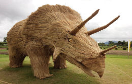 Enormes dinossauros de palha invadem os campos japoneses depois da colheita de arroz