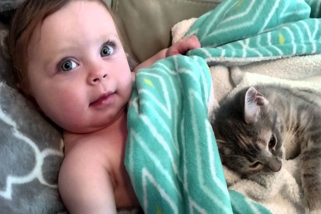 Bebê e gatinho acordando juntos é a coisa mais fofa que você vai ver hoje