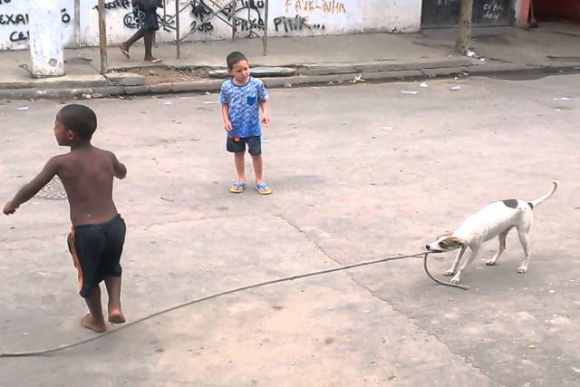Quando há que pular corda este cão é o melhor amigo que uma criança pode ter