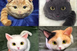Adoráveis ou horrorosas? Bolsas em forma de gato são uma nova mania no Japão