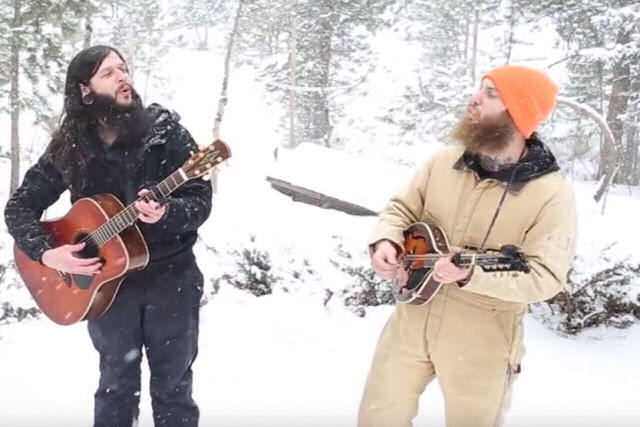 Lobos se juntam a músicos tocando no bosque