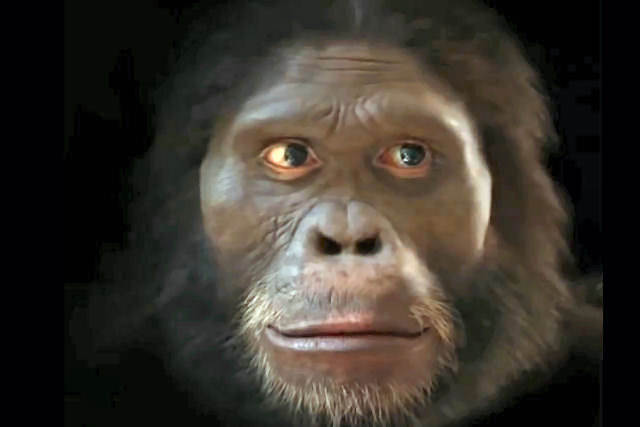 A evoluo do rosto humano ao longo de 6 milhes de anos em um minuto