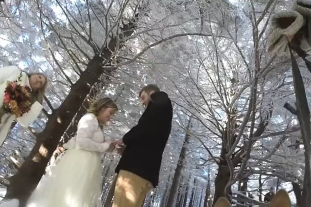 Cão grava o melhor vídeo de casamento de sempre
