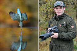 Depois de 6 anos e 720.000 tentativas, este fotógrafo tirou a foto perfeita de um martim-pescador