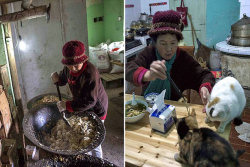 Médica chinesa aposentada vende suas propriedades para cuidar de cães e gatos abandonados