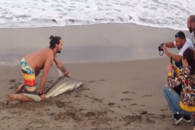Lá vamos nós de novo: jovem arrasta tubarão da água para fazer fotos