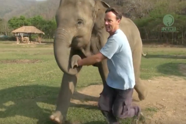 Veja como este elefantinho recebe seu humano favorito a cada dia em uma reserva na Tailândia