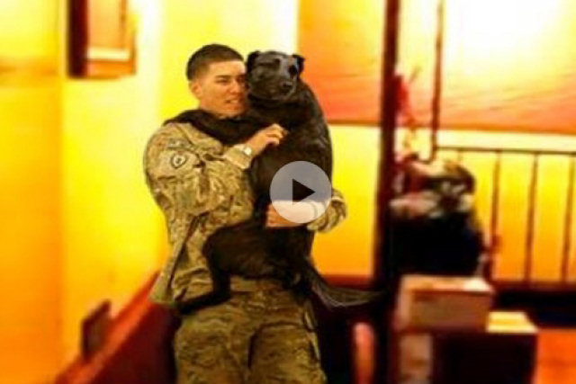 Cão chora de alegria no colo de seu humano que retorna a casa depois de 6 meses fora