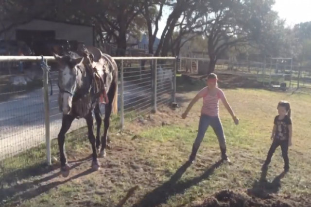 Duas meninas começam a dançar e o cavalo não pode conter a vontade de imitá-las