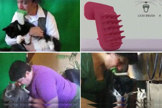 Agora você poderá lamber seu gato a hora que quiser com o exclusivo Licki Brush