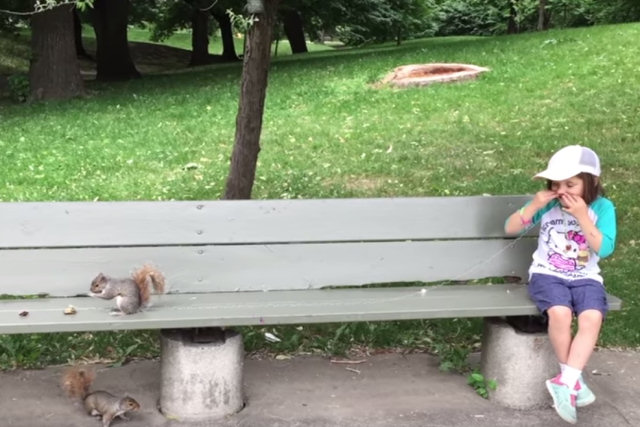 Pai arranca dente de leite da filha com a ajuda de um esquilo faminto