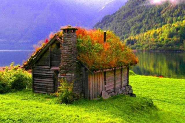 10 casas escandinavas com telhados verdes que parecem sacadas de um conto