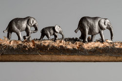 Manada de elefantes esculpida em lápis por Cindy Chinn