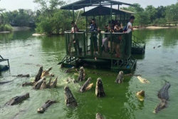 Esses turistas chineses estão em uma jangada frágil no meio de crocodilos famintos