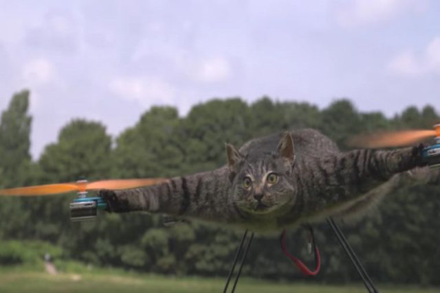 Seu gato morreu atropelado e ele o transformou em um drone