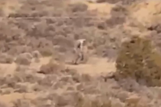 Alguém filmou um suposto extraterrestre no deserto em Portugal