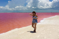 Esta lagoa rosa natural no México parece muito linda para ser real