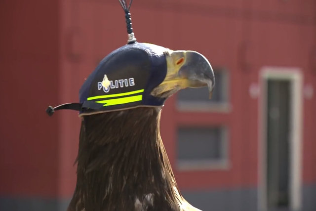 Polícia holandesa demonstra como empregam águias treinadas para derrubar drones ilegais