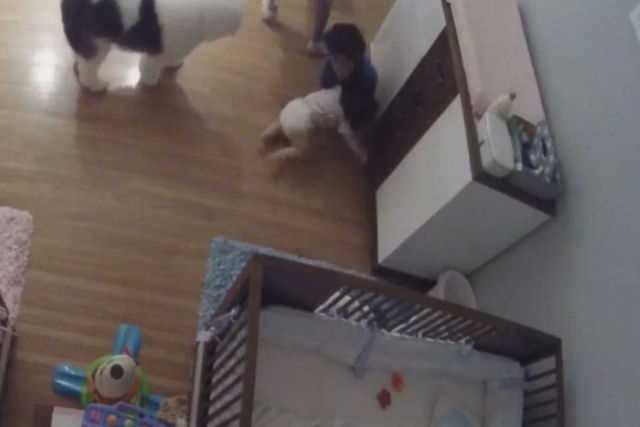 Vídeo mostra garoto de 9 anos salvando o irmão quando ele cai do fraldário
