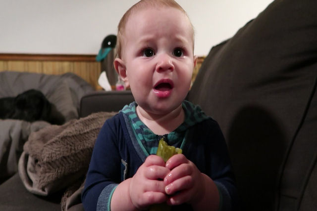 Bebê experimenta picles pela primeira vez, não gosta, mas não para de comer